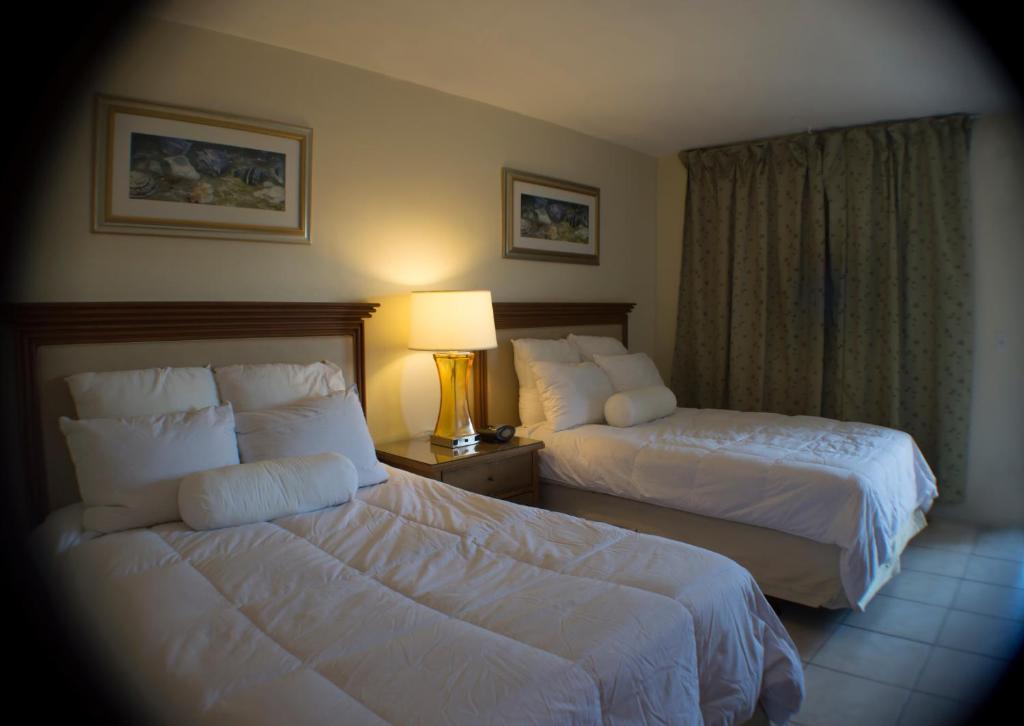 Downtown Hollywood Gardens Inn & Suites Kültér fotó