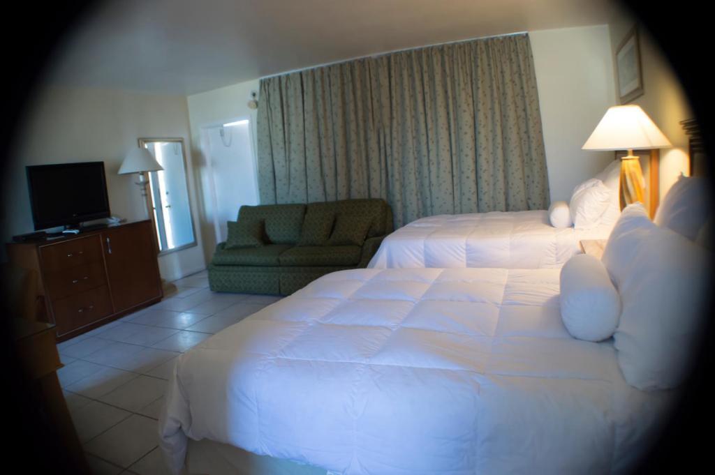 Downtown Hollywood Gardens Inn & Suites Kültér fotó